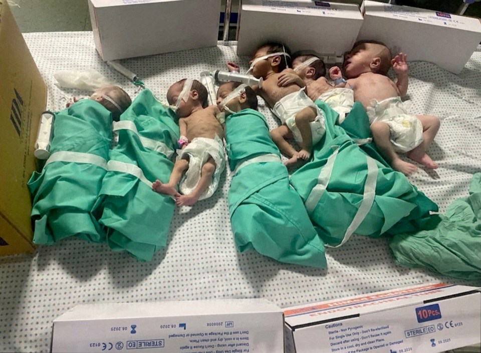 Newborn babies inside Al Shifa hospital that were removed from incubators after fuel ran out