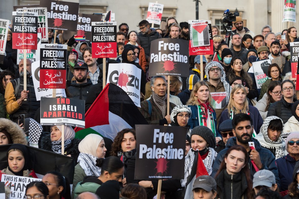 Many Brits feel profoundly anxious about what the pro-Palestine march on Remembrance Day weekend represents — what it says about our nation