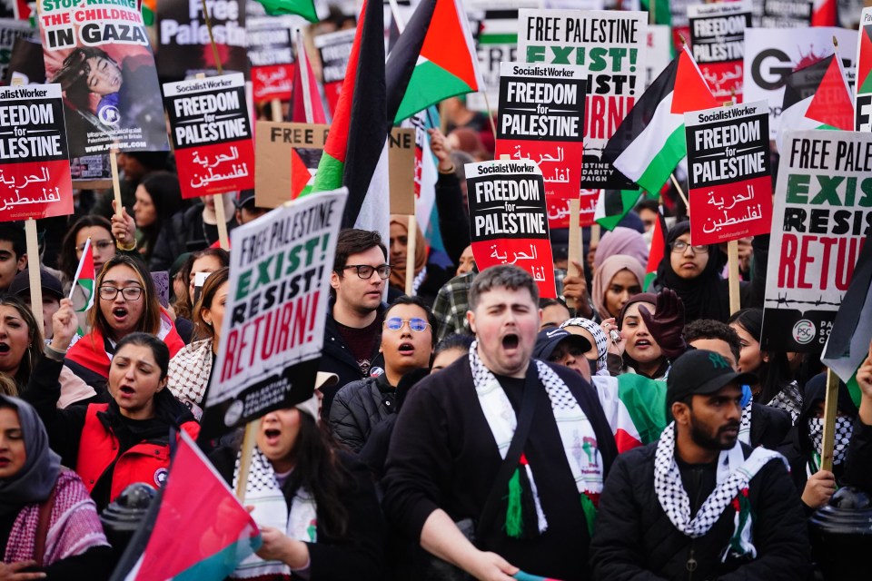 Tensions as thousands of pro-Palestinian protesters gathered at a rally at Trafalgar Square in London last week