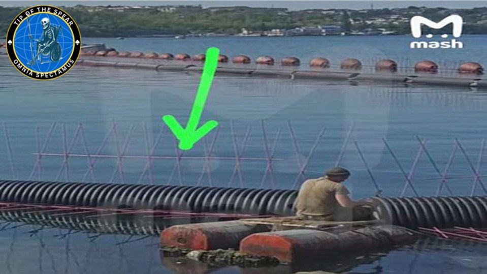 Putin's trained killer dolphins could've escaped after their safety pens seemingly disappeared after a brutal storm