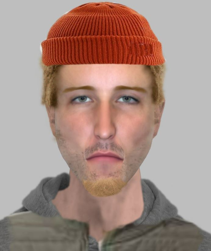 This e-fit of an alleged robber looks just like an England football star