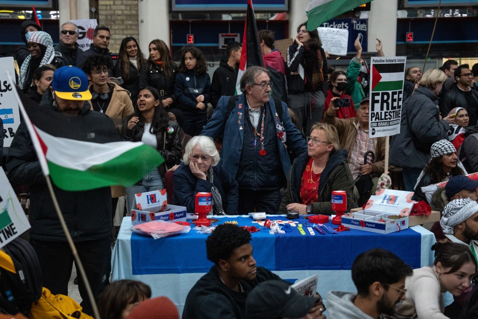 Poppy sellers at Charing Cross Station in London were surrounded by pro-Palestinian protesters