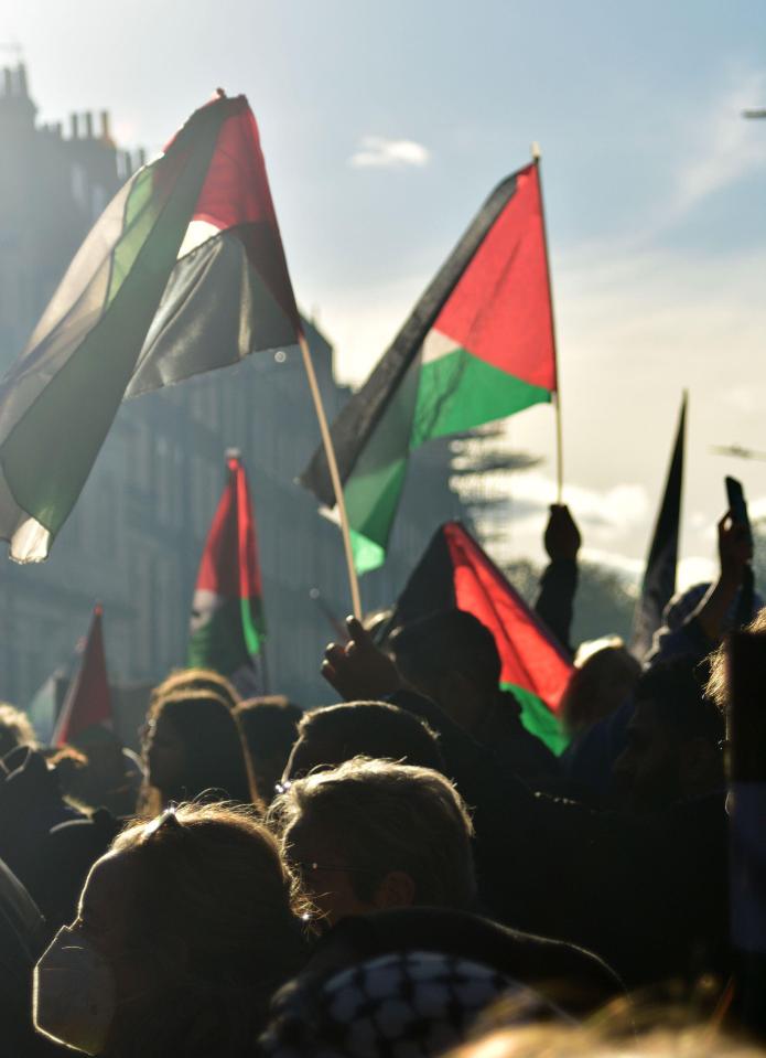 Pro-Palestine marches have been held in London over recent weekends