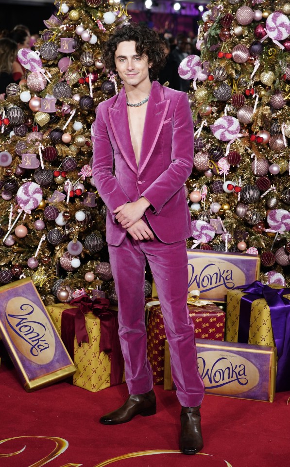 Timothy Chalamet at the world premiere of Wonka at the Royal Festival Hall in London