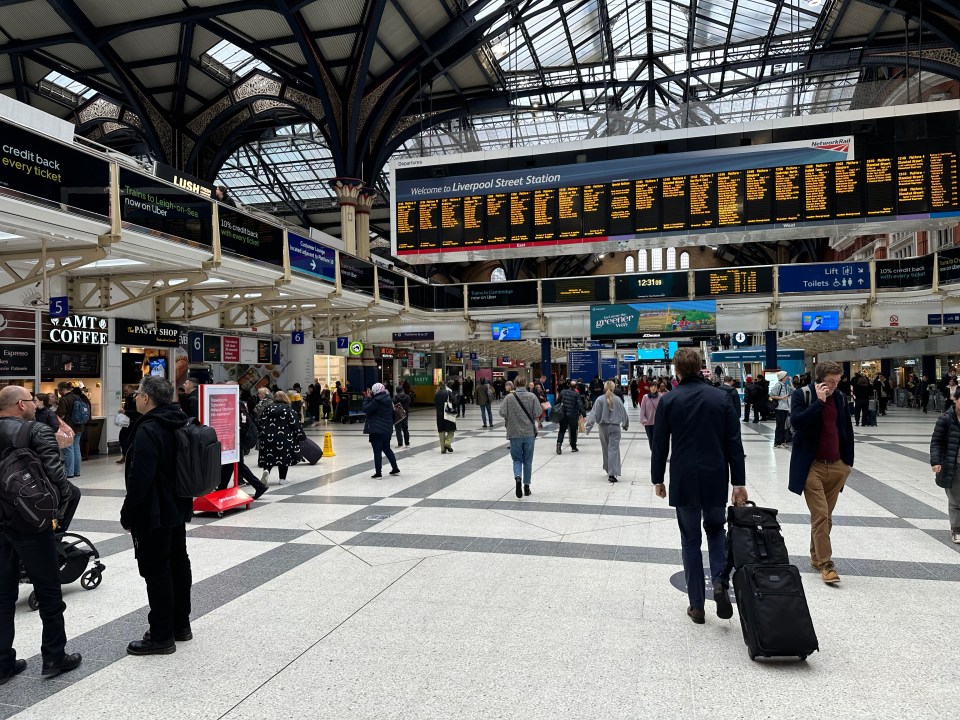 Volunteers selling the Poppies have disappeared from stations after some were punched and shoved at transport hub stalls