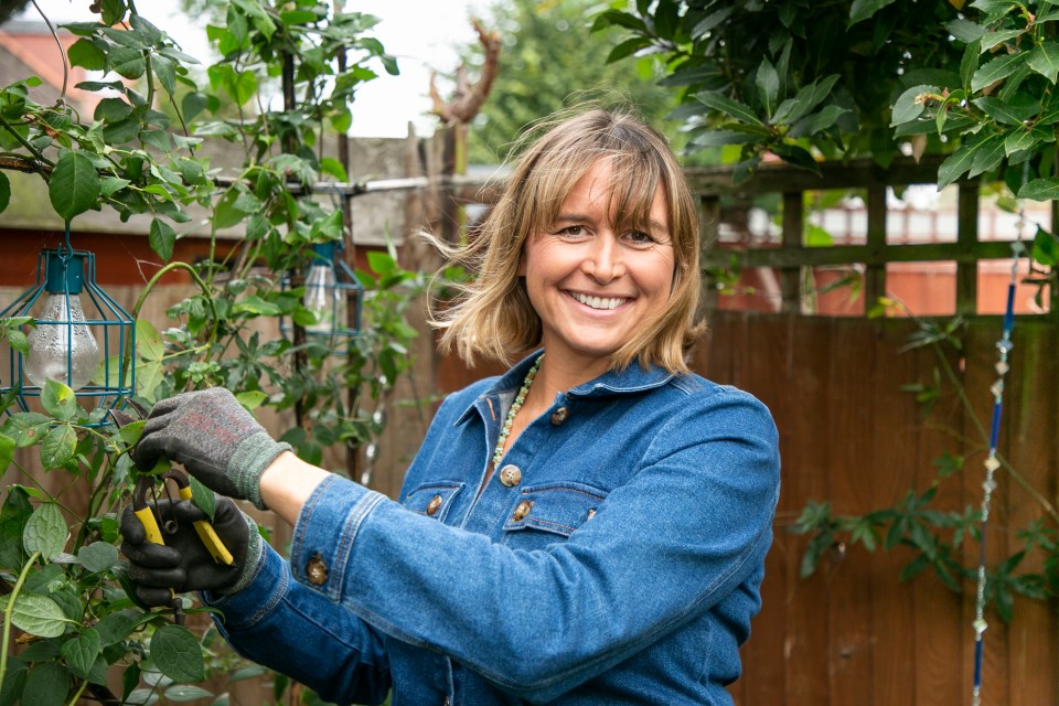 Veronica Lorraine helps you glow up your garden for free