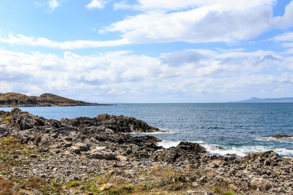 Dolphins, Orcas and Sunfish are also some of sea life that can be spotted from the coast