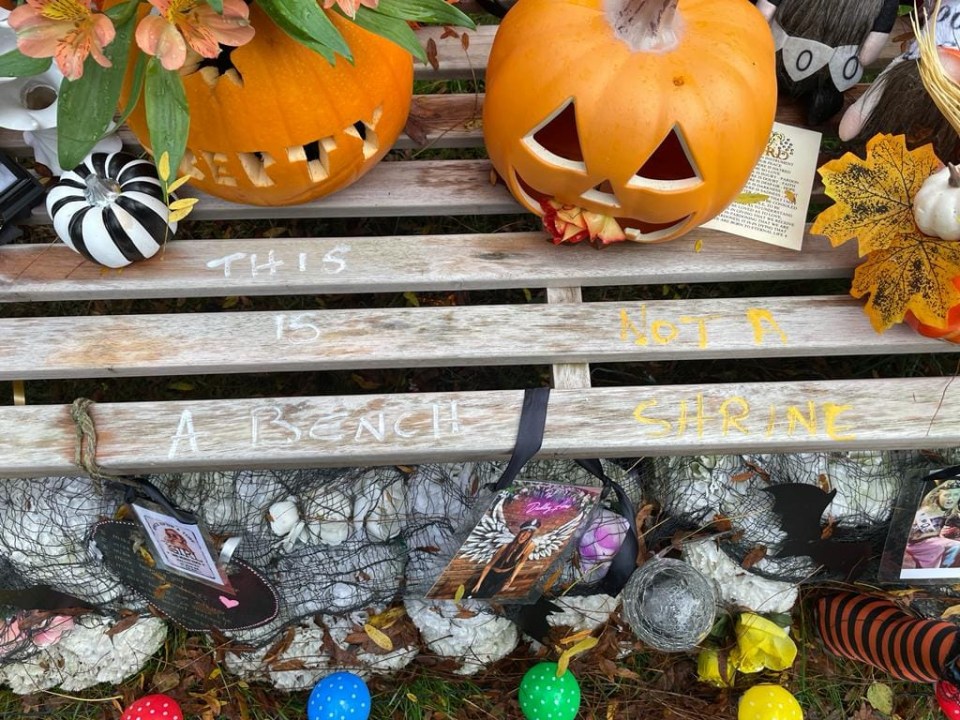 Vandals target Liberty Charris’ tribute bench and write ‘this is a bench not a shrine’