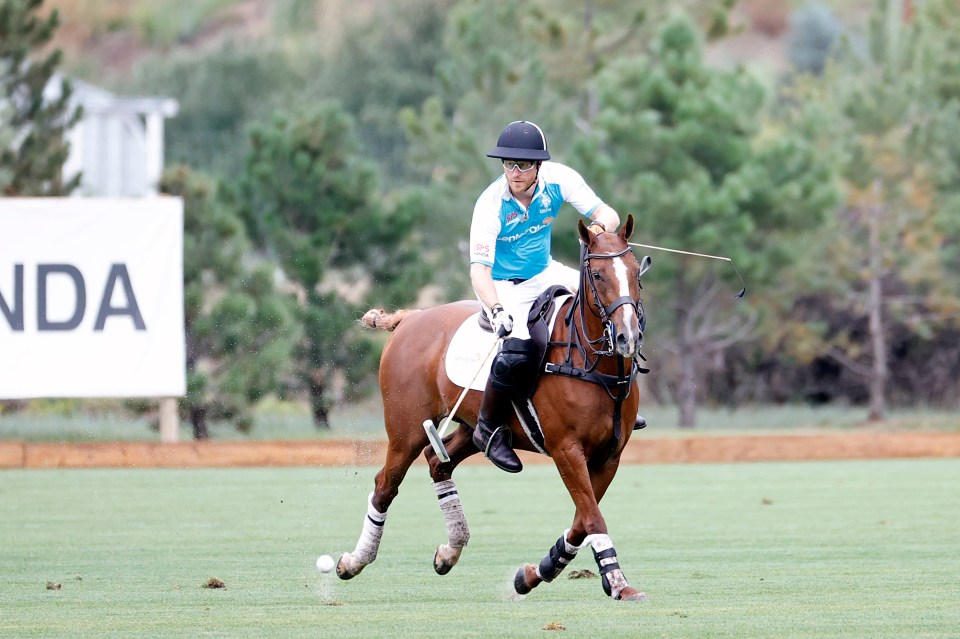 Prince Harry playing polo after flying on a private jet