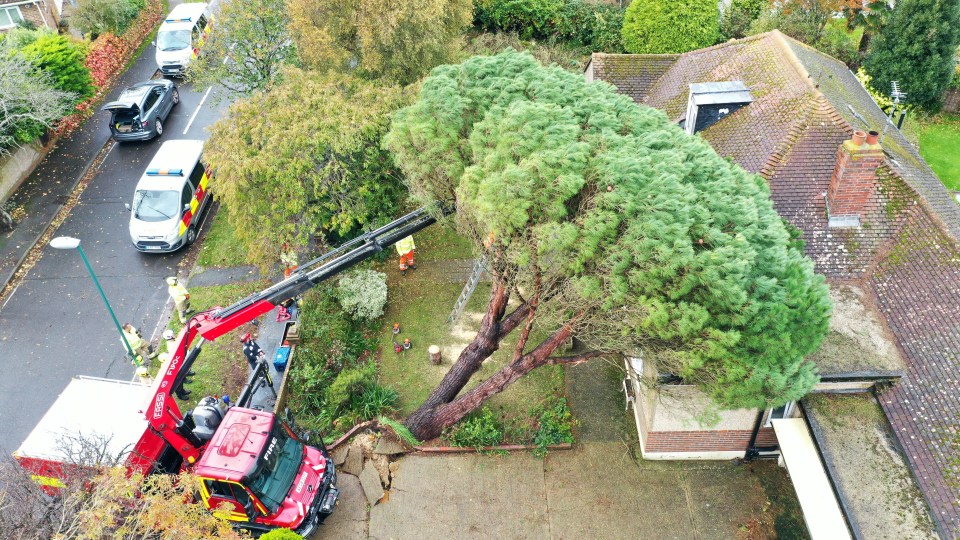 A tree toppled onto a house in Bognor Regis, West Sussex