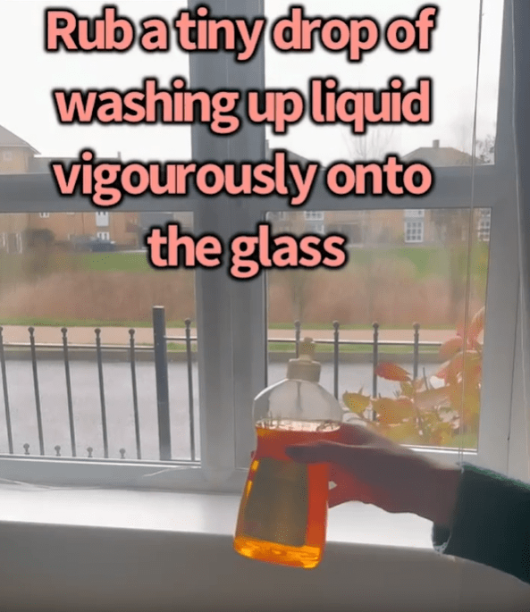 She applies a small amount of washing up liquid to a cloth before wiping it all over the windowpane