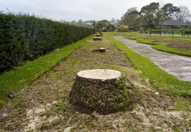 Torbay Council said the move is part of its garden restoration