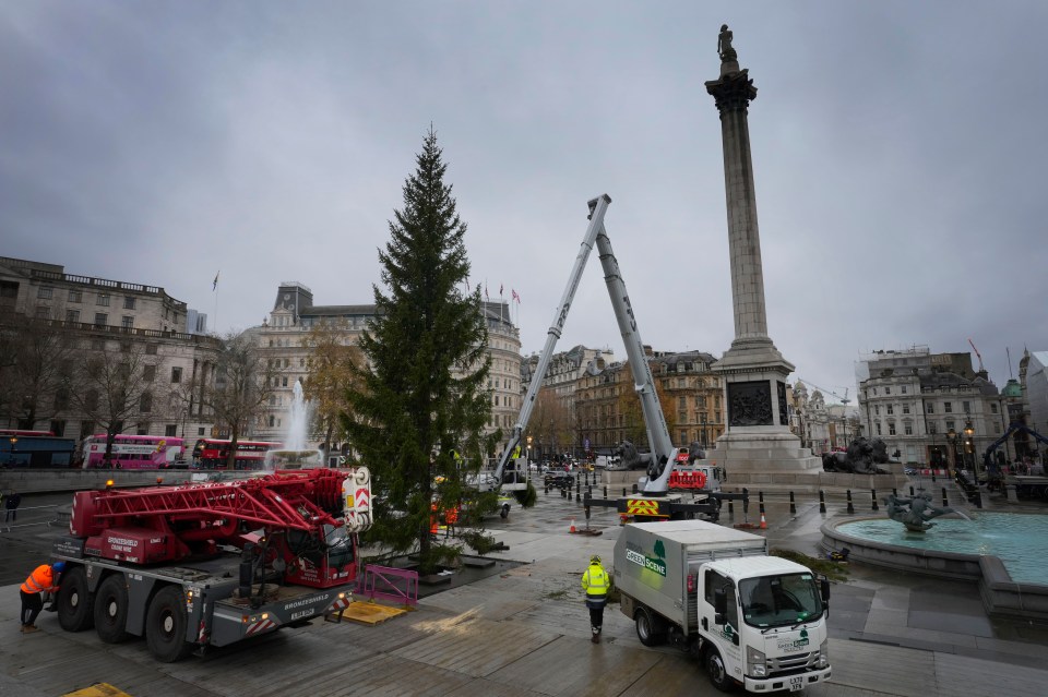 The spruce was slated in previous years for looking too bare