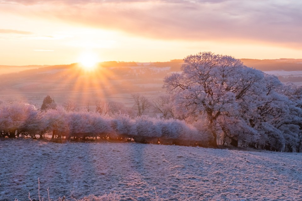 The sun rises over snowy fields in Northumberland yesterday