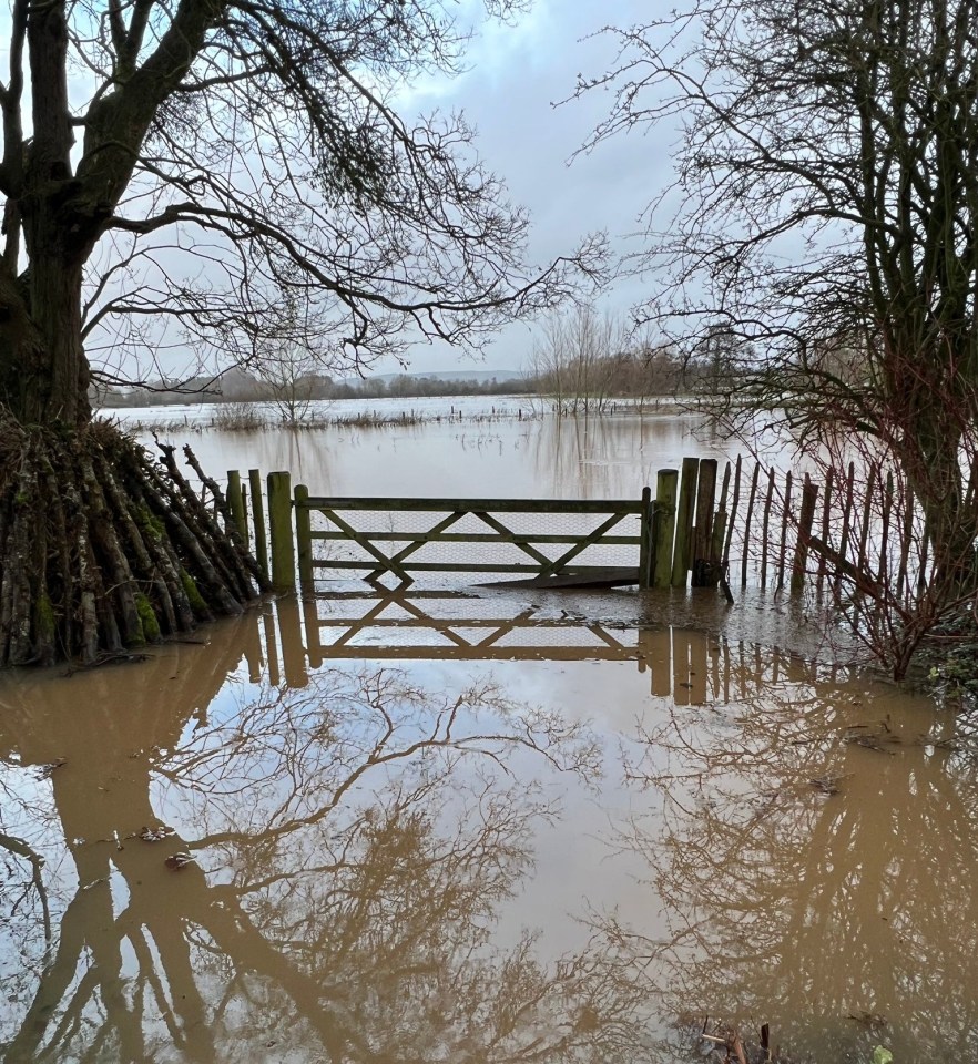 The presenter revealed that the grounds of her home had been flooded