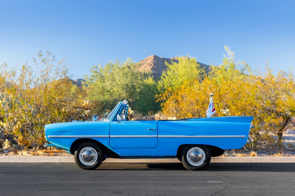 The car will go under the hammer in Pheonix, Arizona, in January