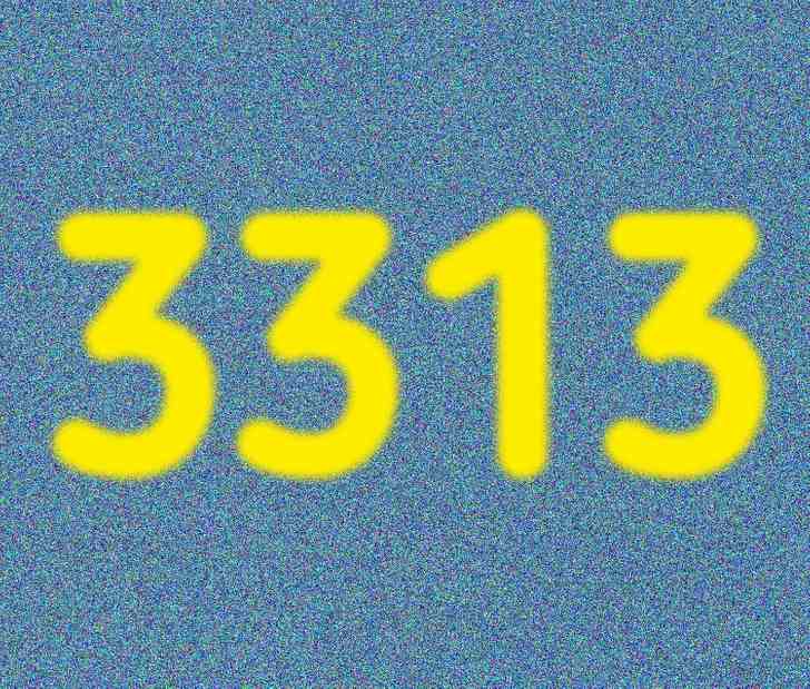 The hidden number was 3313