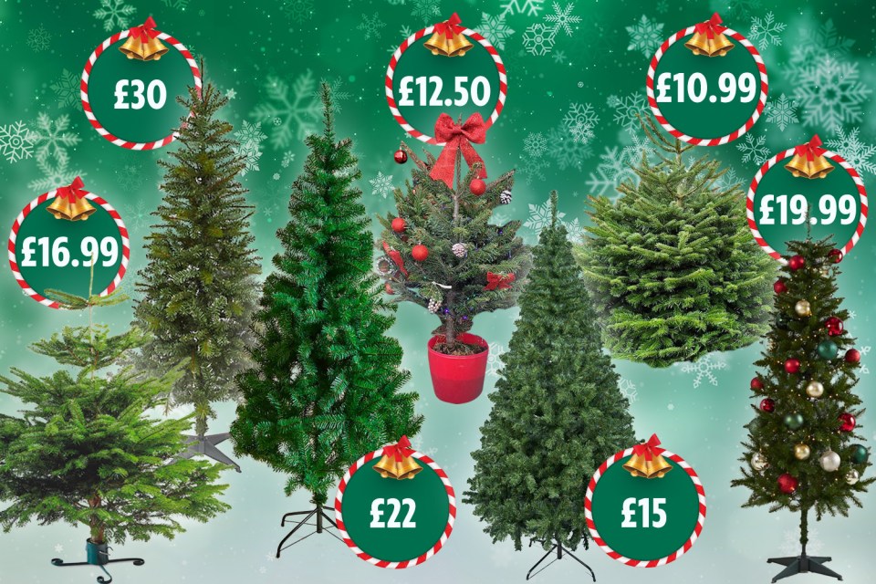 We have scoured the retailers to find the best bargains on Christmas Trees