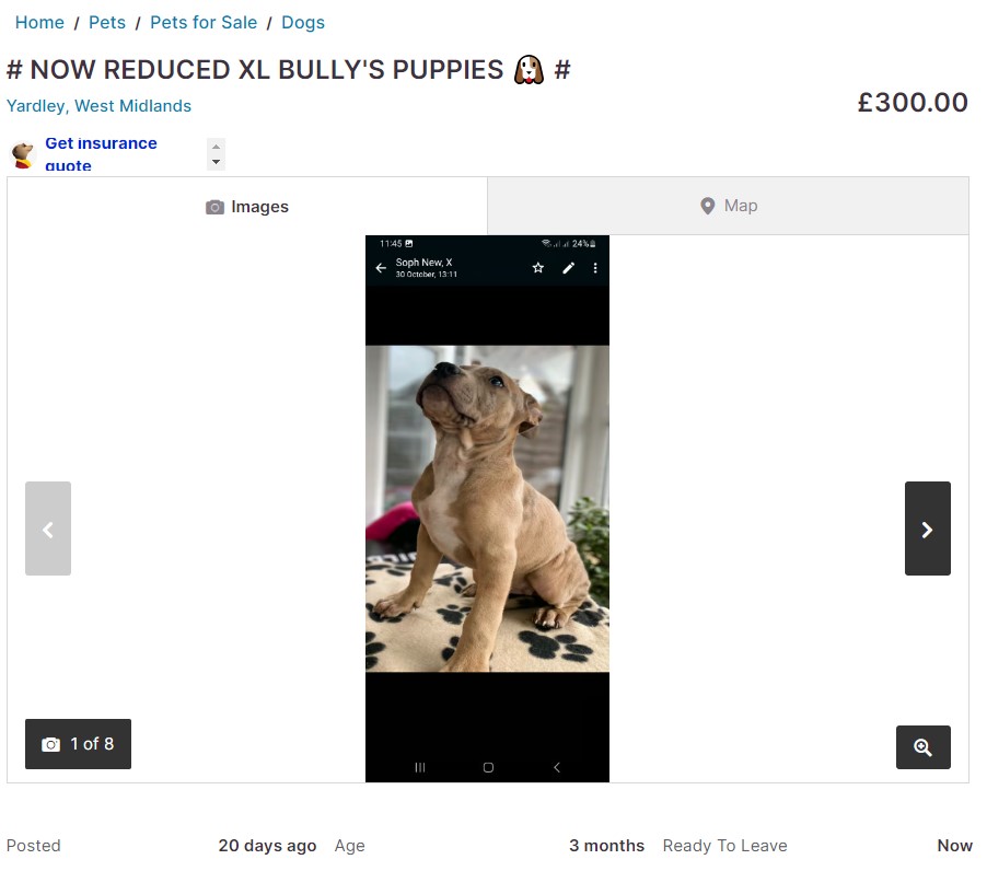 The puppies are now being sold at 'reduced' prices