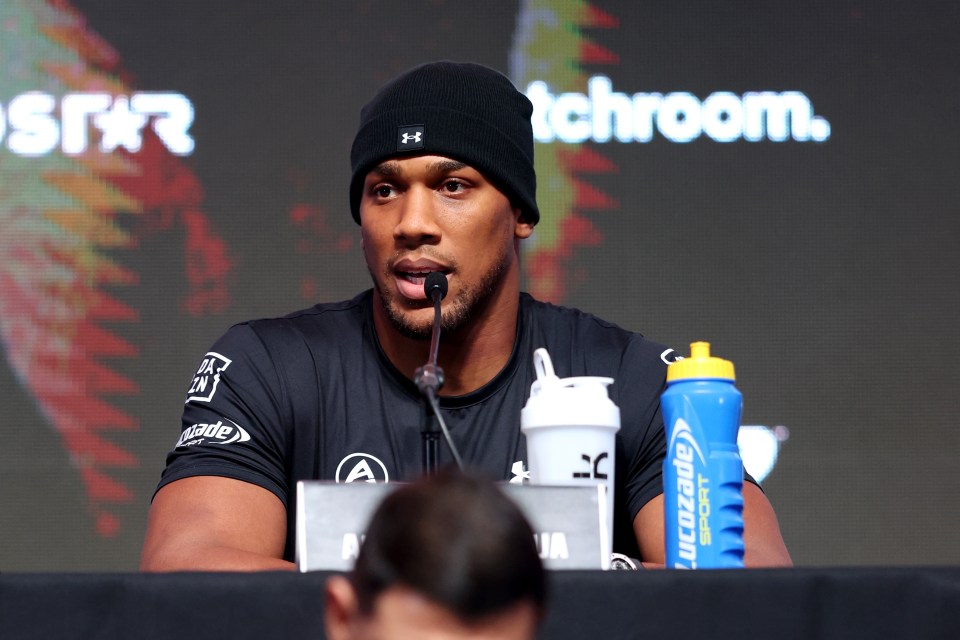 Anthony Joshua has labelled Tyson Fury a 'fat slob'