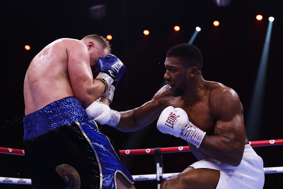 Anthony Joshua was back to his slick and methodical best against Otto Wallin