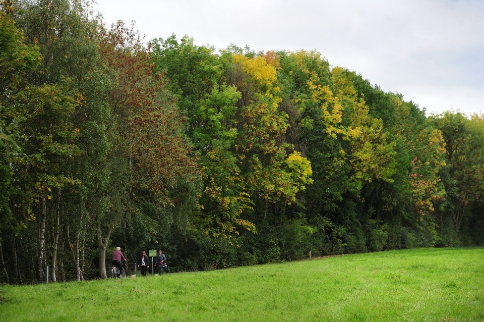 Benn Curran-Nicholls was poisoned by the leaves and fruit from a yew at Fletcher Moss Park, Didsbury, Manchester