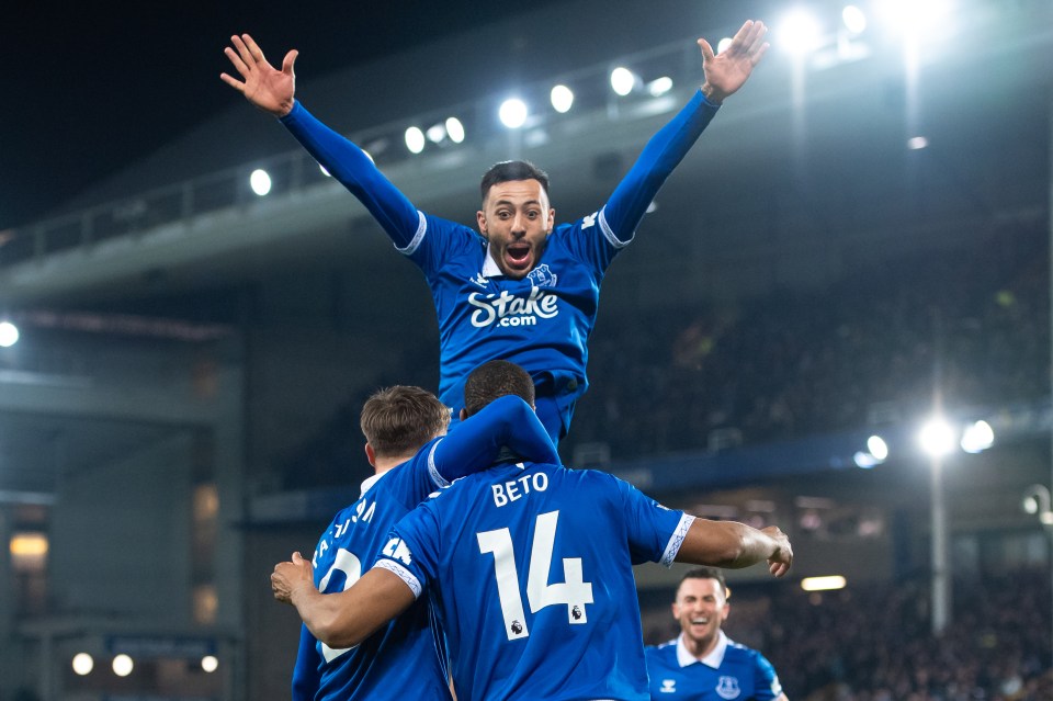 Everton beat Newcastle 3-0 to move out of the bottom three