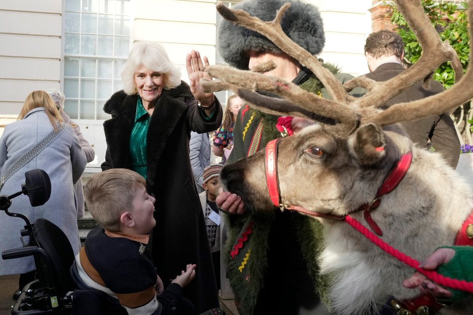 A reindeer also brought joy to the faces of the youngsters