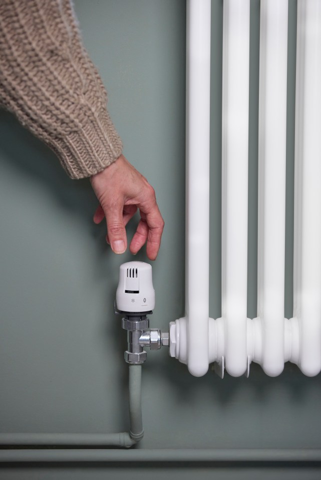 Any energy expert has warned of the clear radiator concern you must not ignore this winter