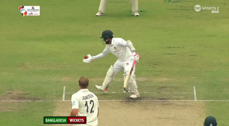 Mushfiqur Rahim handled the ball and was dismissed