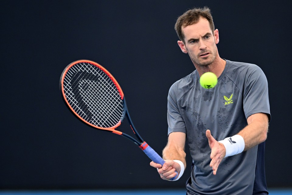 Andy Murray admitted he was 'not really enjoying' playing after the Paris Masters in October