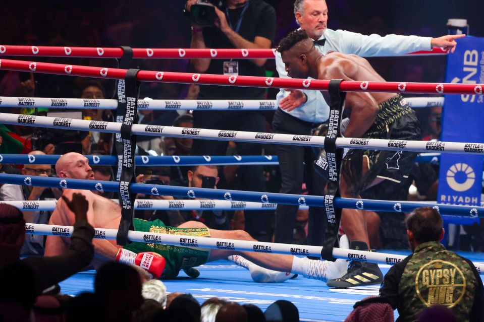 Ngannou knocked Fury down during their bout