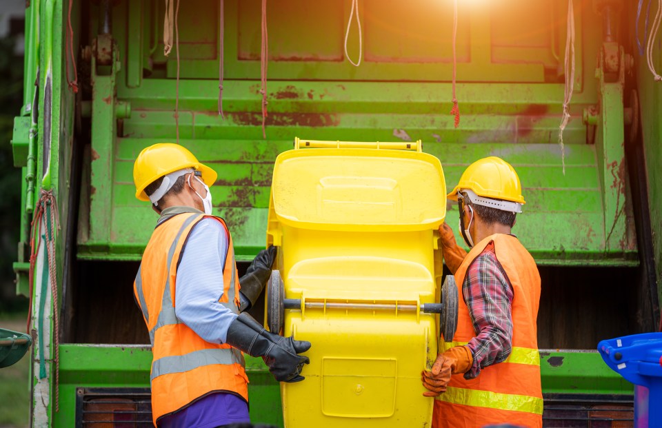 The bin expert works as a waste projects and compliance officer (file photo)