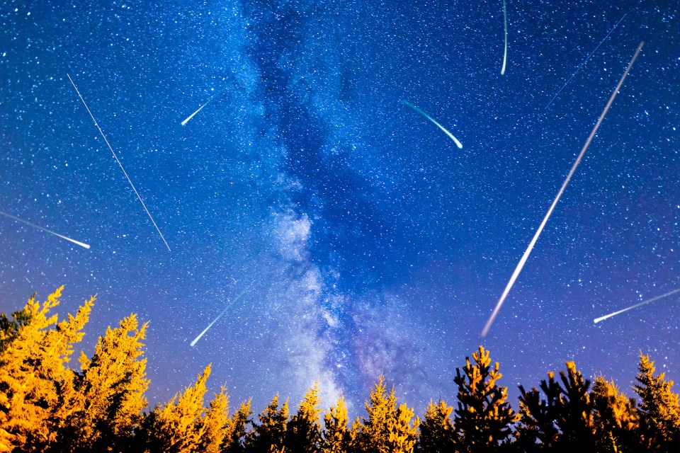 the milky way is visible in the night sky above the trees