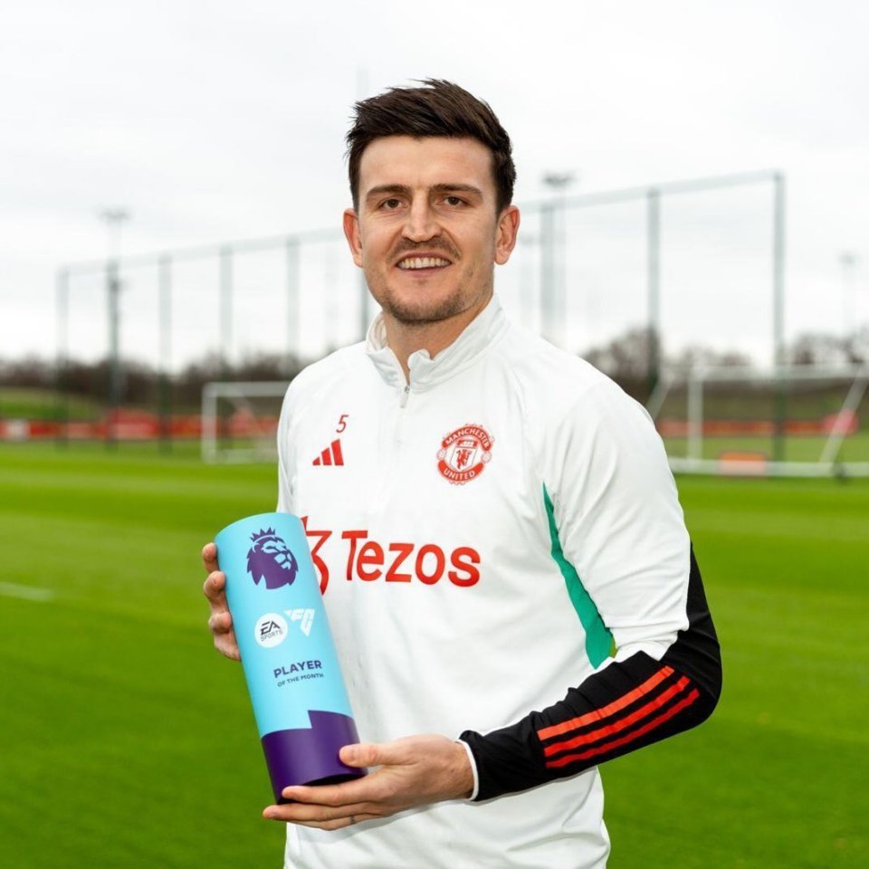 Harry Maguire has been named the Premier League Player of the Month for November