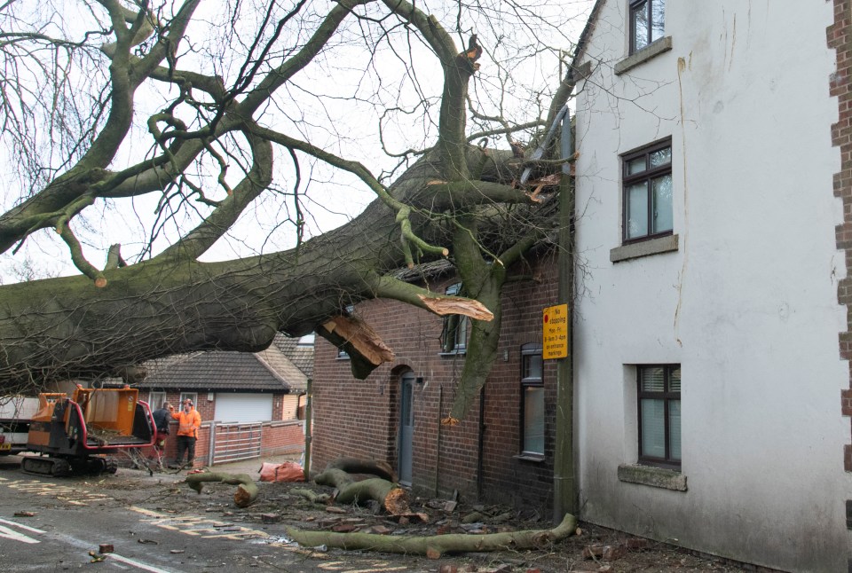 A tree toppled into a house in the Derbyshire village of Stanley