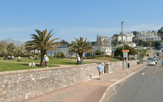 People seaside town the palms were a symbol of Torquay