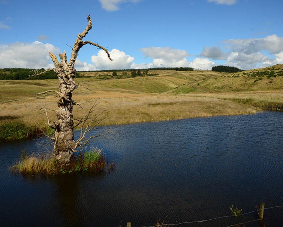 Currently the former mine is just fields and artificial lakes