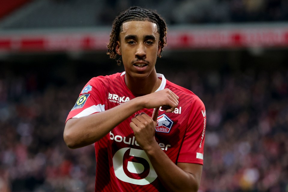 Leny Yoro has impressed for Lille this season