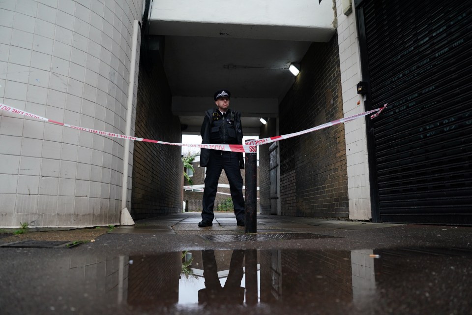 A 22-year-old woman died from a stab injury on Christmas Eve