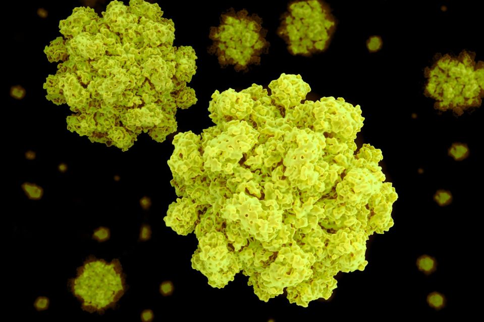 Norovirus cases are rising across the UK, figures show