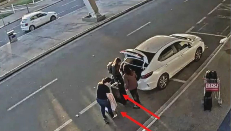 CCTV showed the two women at the Brazilian airport with different bags from those seized by German police