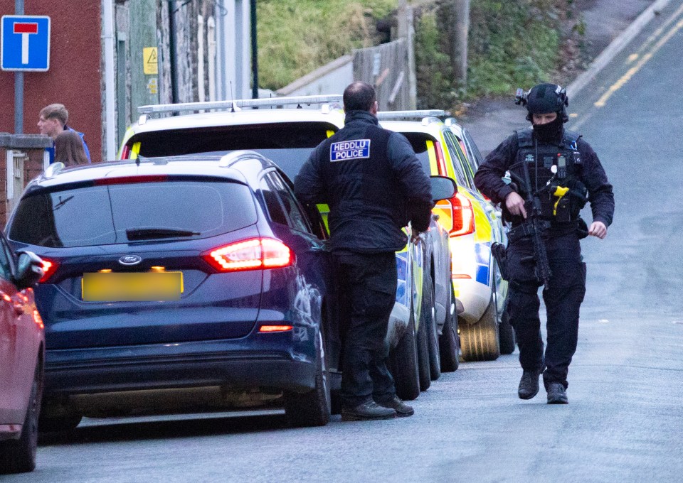 Armed cops patrolling in Aberfan after the horror knifing yesterday