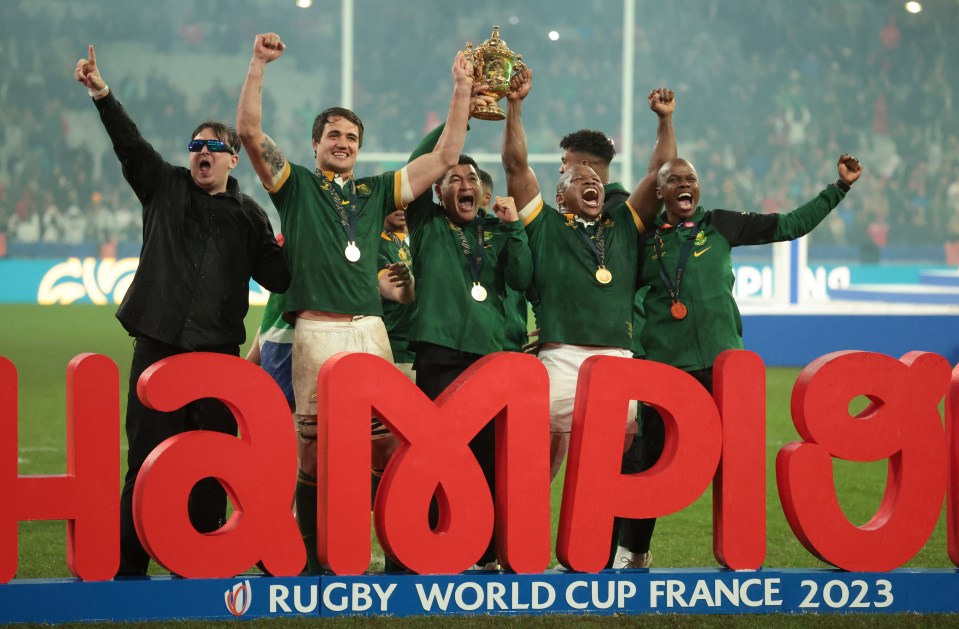 Serial prankster Daniel Jarvis – who crashed the Springboks’ celebrations after winning the World Cup – admitted he was behind the stunt