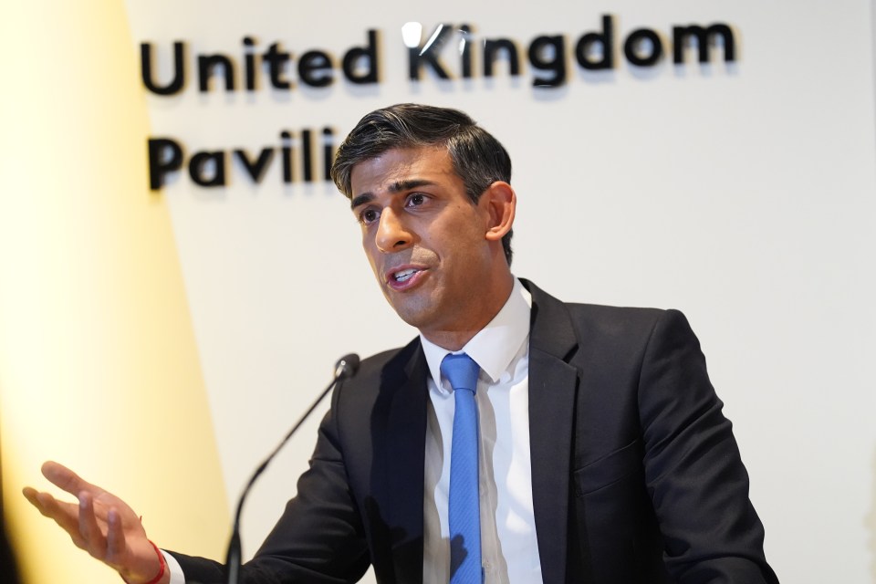 PM Rishi Sunak believes handing more cash over to Rwanda is worth it to get migrant flights going