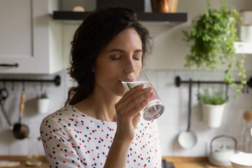 Make sure any leftover food is reheated thoroughly and refrigerated properly to avoid food poisoning