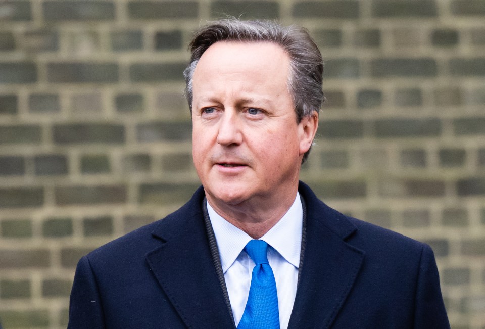 Posh men like David Cameron are out of touch when it comes to dating