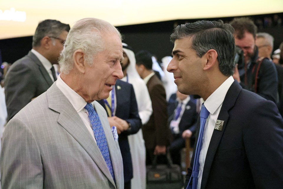 King Charles III (left) speaks with Prime Minister Rishi Sunak as they attend the opening ceremony of the World Climate Action Summit at Cop28 in Dubai