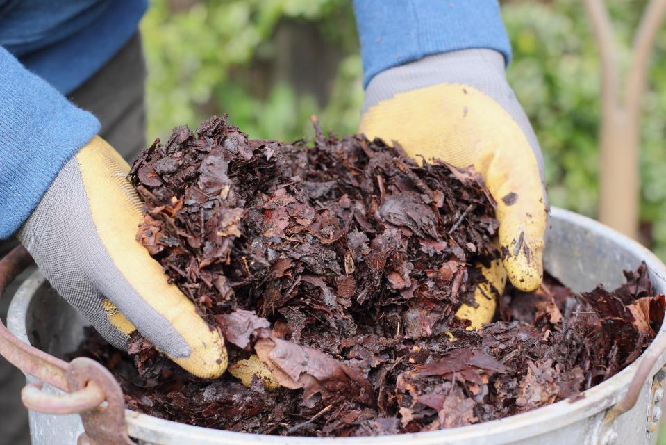 Mulching your beds is like covering it in a cosy deep duvet