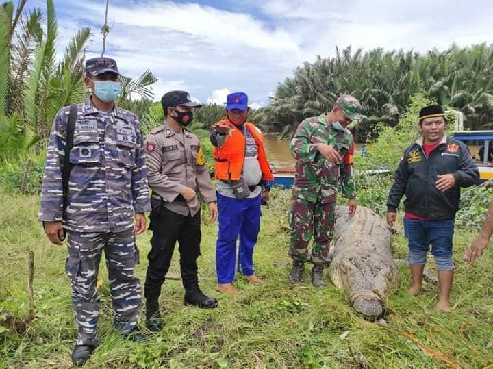 Bangka Island, Indonesia is becoming the crocodile attack capital of the world